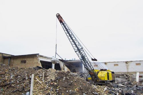 Resize of IMG_4561